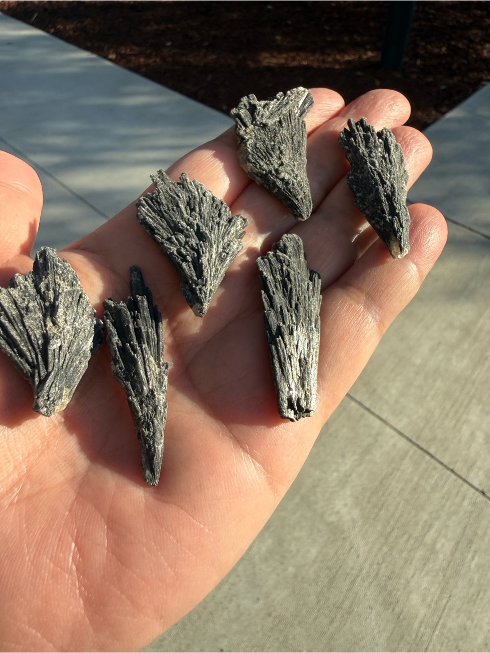 6 pcs Natural Raw Black Kyanite Blade Crystal Protection Chakra Reiki
